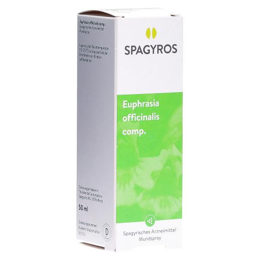 Heidak Spagyrik Thuja occidentalis 500ml | abilis.ch